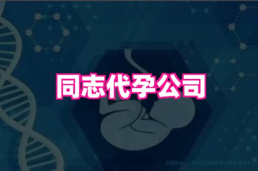 杭州助孕网站 3